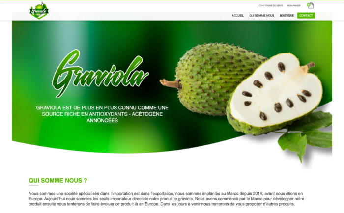 creation de site web maroc